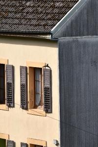 Martinet noir